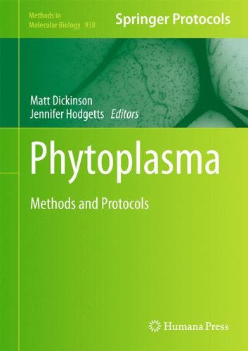 Phytoplasma Methods And Protocols 1st Edition Matt Dickinson