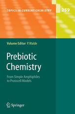 Prebiotic Chemistry 1st Edition David W Deamer Jason P Dworkin Auth