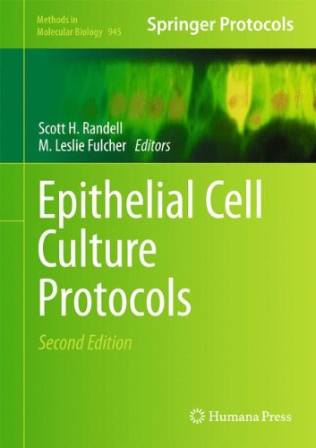 Epithelial Cell Culture Protocols Second Edition 2nd Edition Amanda Simcox Auth
