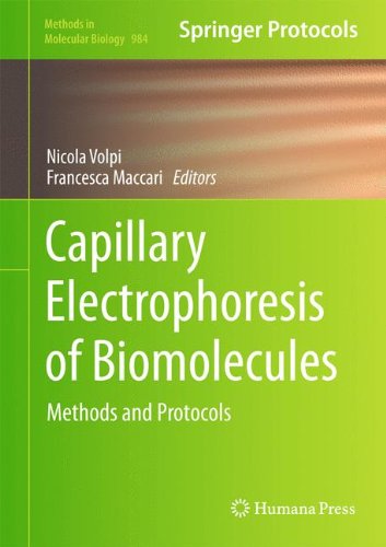 Capillary Electrophoresis Of Biomolecules Methods And Protocols 1st Edition Chenchen Wang