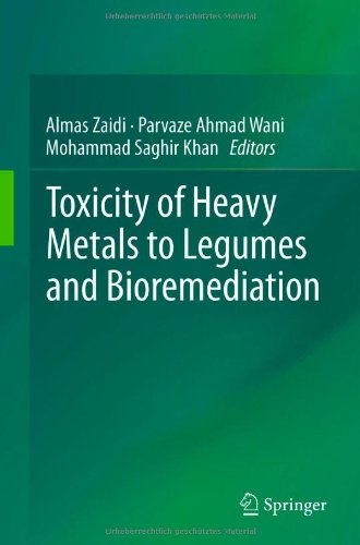 Toxicity Of Heavy Metals To Legumes And Bioremediation 1st Edition Mohammad Oves