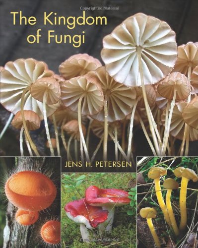 The Kingdom Of Fungi Jens H Petersen