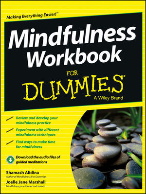 Mindfulness Workbook For Dummies 1st Edition Shamash Alidina