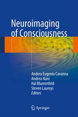 Neuroimaging Of Consciousness 1st Edition Andrea Nani Stefano Seri