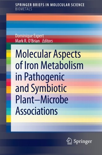 Molecular Aspects Of Iron Metabolism In Pathogenic And Symbiotic Plantmicrobe Associations 1st Edition Dominique Expert Auth