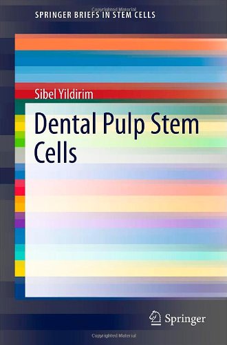 Dental Pulp Stem Cells 2013th Edition Sibel Yildirim