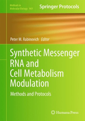 Synthetic Messenger Rna And Cell Metabolism Modulation Methods And Protocols 1st Edition Peter M Rabinovich