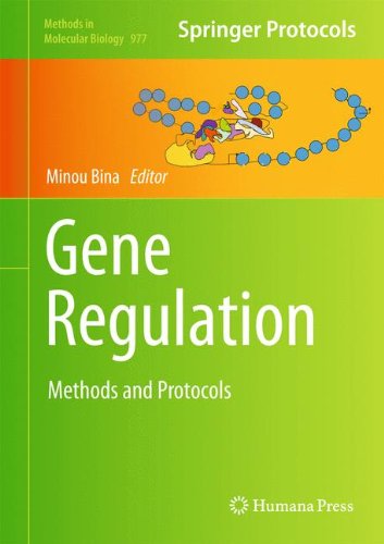 Gene Regulation Methods And Protocols 1st Edition Minou Bina Auth