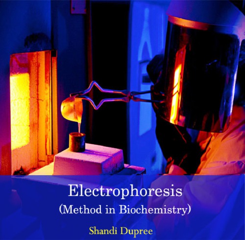 Electrophoresis Method In Biochemistry Shandi Dupree