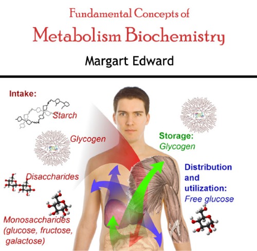 Fundamental Concepts Of Metabolism Biochemistry Margart Edward