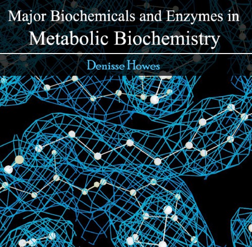Major Biochemicals And Enzymes In Metabolic Biochemistry Denisse Howes