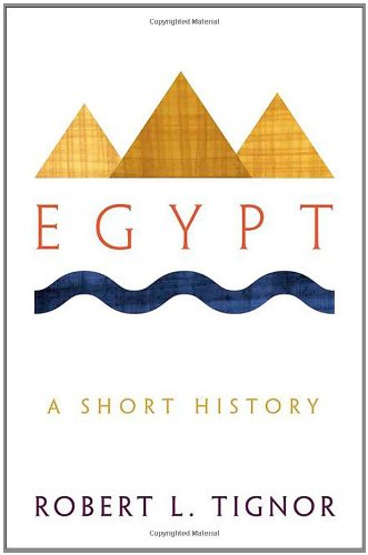Egypt A Short History Reprint Robert L Tignor