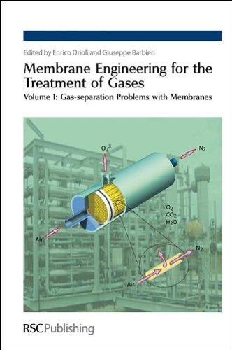 Membrane Engineering For The Treatment Of Gases Volume 1 Gasseparation Problems With Membranes 1st Edition Enrico Drioli
