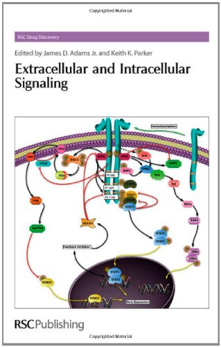 Extracellular And Intracellular Signaling James D Adams Jr