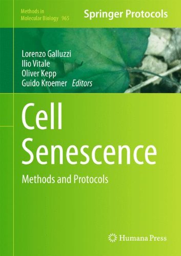 Cell Senescence Methods And Protocols 2013th Edition Lorenzo Galluzzi
