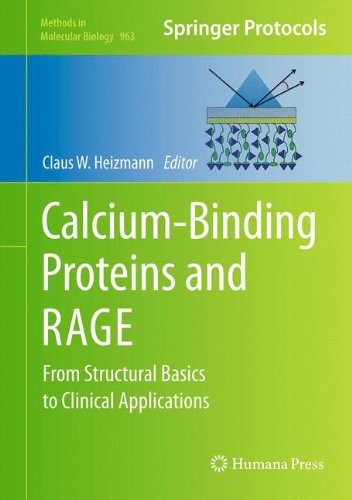 Calciumbinding Proteins And Rage From Structural Basics To Clinical Applications 1st Edition Sonal Srikanth