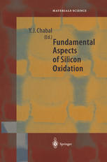 Fundamental Aspects Of Silicon Oxidation 1st Edition Leonard C Feldman Auth