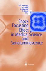 Shock Focussing Effect In Medical Science And Sonoluminescence 1st Edition P H Roberts