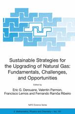 Sustainable Strategies For The Upgrading Of Natural Gas Fundamentals Challenges And Opportunities Proceedings Of The Nato Advanced Study Institute On Sustainable Strategies For The Upgrading Of Natural Gas Fundamentals Challenges And Opportunities 1st Edition Jens R Rostrupnielsen Auth