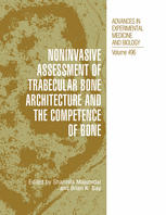 Noninvasive Assessment Of Trabecular Bone Architecture And The Competence Of Bone 1st Edition Torkel B Brismar