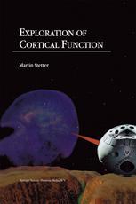 Exploration Of Cortical Function Imaging And Modeling Cortical Population Coding Strategies 1st Edition Martin Stetter Auth