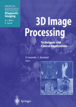 3d Image Processing Techniques And Clinical Applications 1st Edition Riccardo Lencioni Md