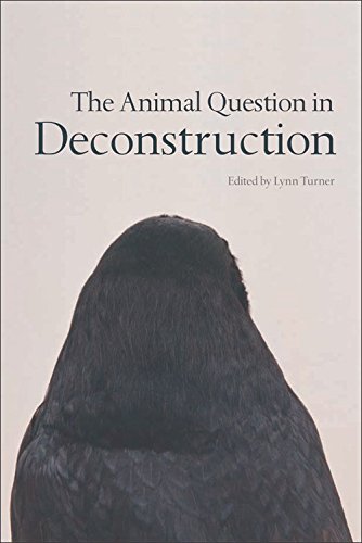 The Animal Question In Deconstruction 1st Edition Lynn Turner Editor