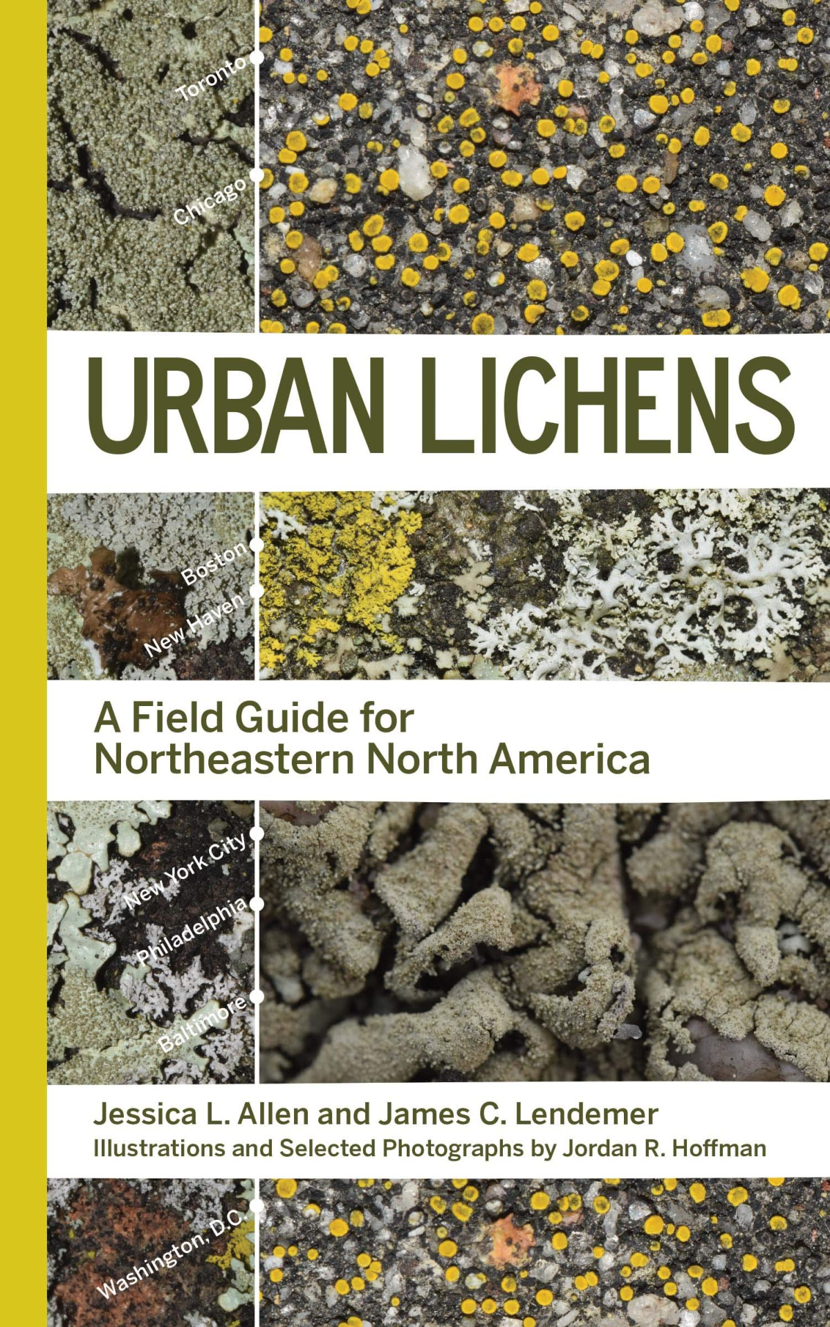 Urban Lichens A Field Guide For Northeastern North America Jessica L Allen