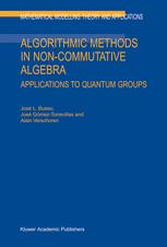 Algorithmic Methods In Noncommutative Algebra Applications To Quantum Groups 1st Edition Jos Bueso