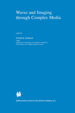 Waves And Imaging Through Complex Media 1st Edition O Legrand Auth
