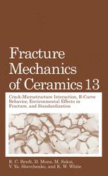 Fracture Mechanics Of Ceramics Volume 13 Crackmicrostructure Interaction Rcurve Behavior Environmental Effects In Fracture And Standardization 1st Edition G Rauchs