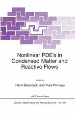 Nonlinear Pdes In Condensed Matter And Reactive Flows 1st Edition M Z Bazant