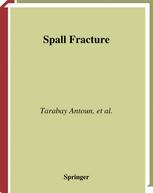 Spall Fracture 1st Edition Tarabay Antoun Donald R Curran Sergey V Razorenov