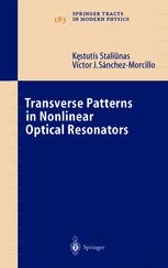 Transverse Patterns In Nonlinear Optical Resonators 1st Edition Kstutis Stalinas