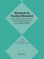 Advances In Fracture Research Honour And Plenary Lectures Presented At The 11th International Conference On Fracture Icf11 Held In Turin Italy On March 2025 2005 1st Edition Alberto Carpinteri