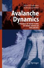 Avalanche Dynamics Dynamics Of Rapid Flows Of Dense Granular Avalanches 1st Edition Shiva P Pudasaini