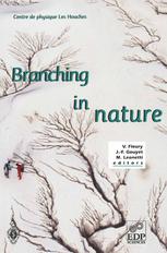 Branching In Nature Dynamics And Morphogenesis Of Branching Structures From Cell To River Networks 1st Edition Y Couder Auth