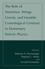 The Role Of Neutrinos Strings Gravity And Variable Cosmological Constant In Elementary Particle Physics 1st Edition Behram N Kursunoglu Auth