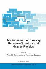 Advances In The Interplay Between Quantum And Gravity Physics 1st Edition Jacob D Bekenstein Auth