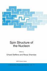 Spin Structure Of The Nucleon 1st Edition P E Bosted Auth