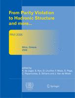 Proceedings Of The 3rd Workshop From Parity Violation To Hadronic Structure And More Pavi 2006 May 1620 2006 Milos Greece 1st Edition A Schfer Auth