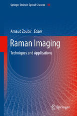 Raman Imaging Techniques And Applications 1st Edition Eunah Lee Auth