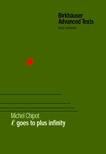 ℓ Goes To Plus Infinity 1st Edition Michel Chipot Auth