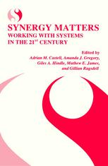 Synergy Matters Working With Systems In The 21st Century 1st Edition Raul Espejo Auth