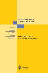 Cohomology Of Finite Groups 2nd Edition Alejandro Adem R James Milgram Auth
