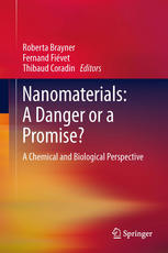 Nanomaterials A Danger Or A Promise A Chemical And Biological Perspective 1st Edition Fernand Fivet