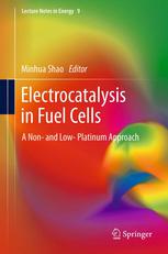 Electrocatalysis In Fuel Cells A Non And Low Platinum Approach 1st Edition Meng Li