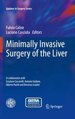 Minimally Invasive Surgery Of The Liver 1st Edition Luciano Casciola Auth