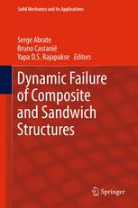 Dynamic Failure Of Composite And Sandwich Structures 1st Edition Riccardo Panciroli Auth