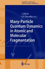 Manyparticle Quantum Dynamics In Atomic And Molecular Fragmentation 1st Edition V P Shevelko